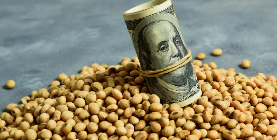 Qué tan competitiva es Argentina para producir granos: los tres rubros donde todavía pierde terreno y frente a qué países