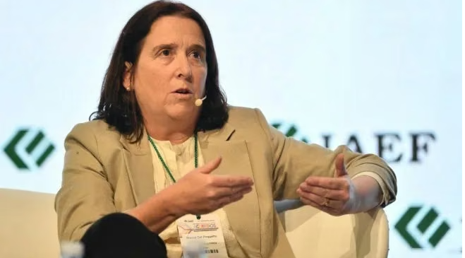 RIGI: Marina Dal Poggetto estimó un gasto tributario de u$s8.500 millones y abrió el debate, ¿pierde recursos el Estado?